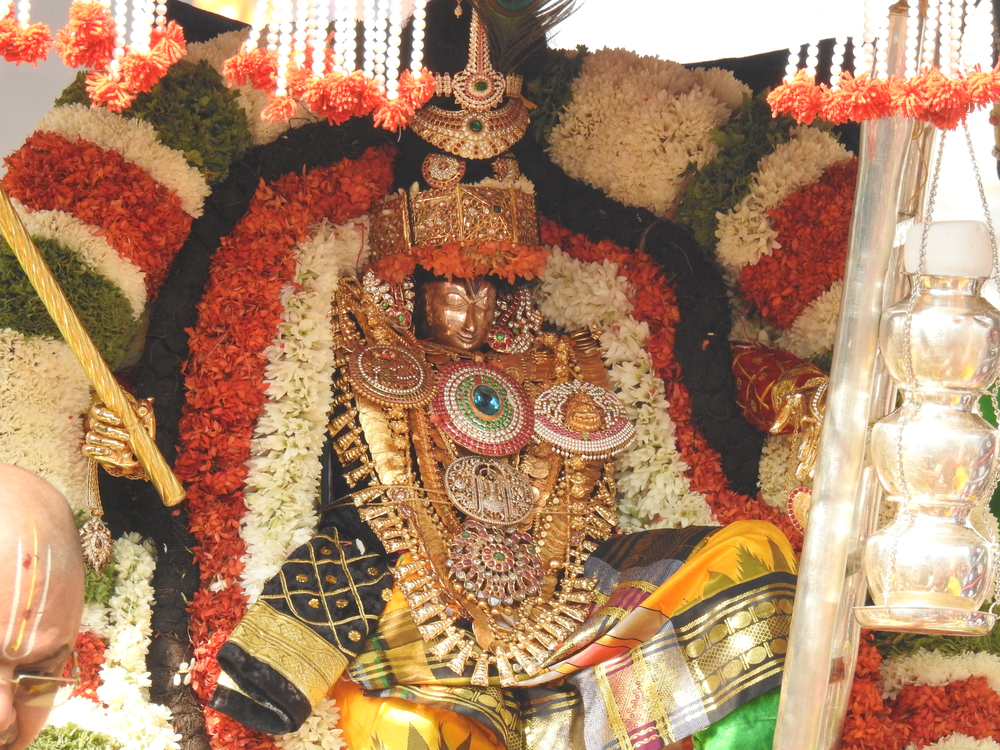 TIRUPATI AMMAWARI BHAKTI DARSHAN