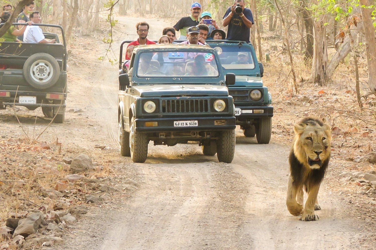 Book Majestic Tour Of Gujarat