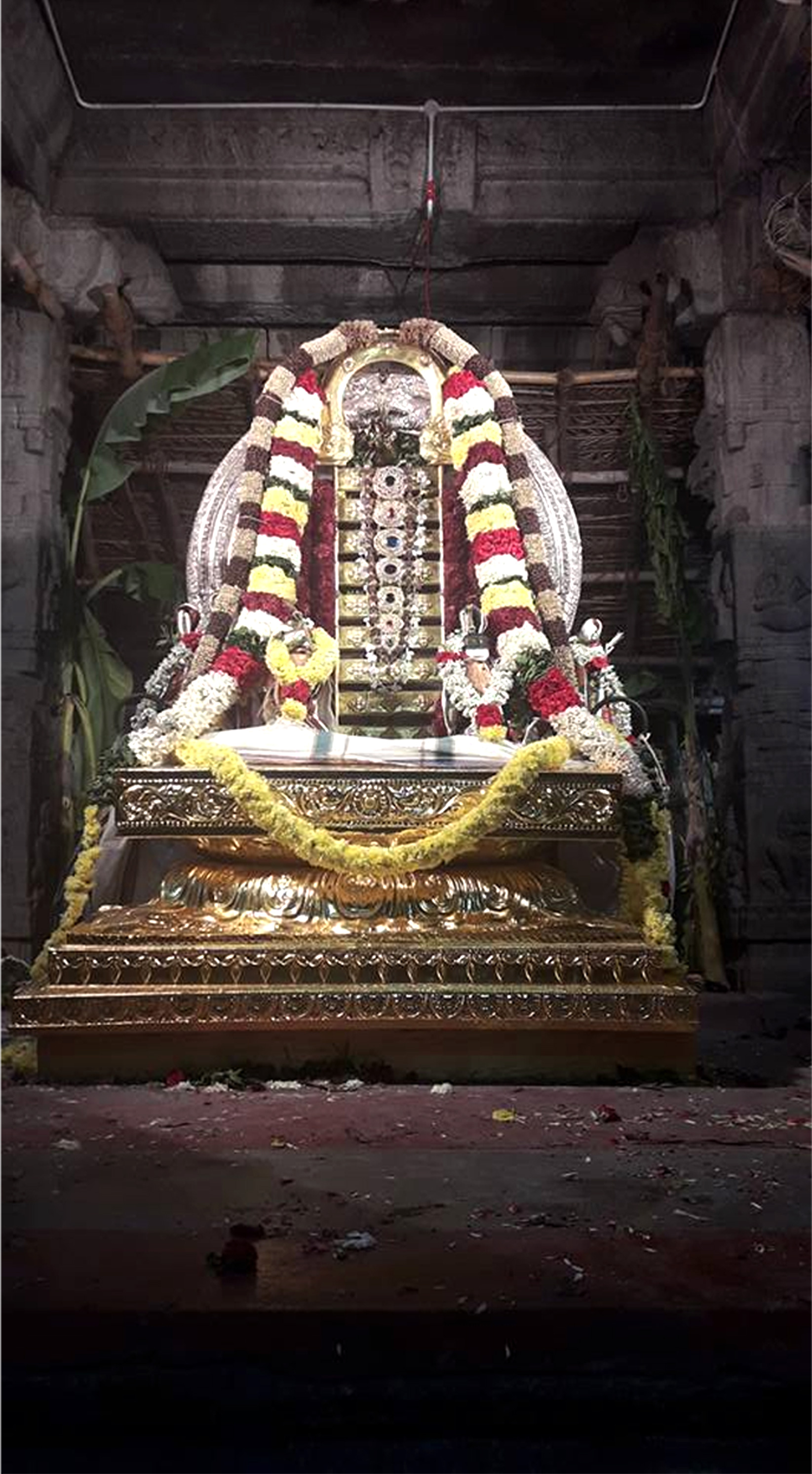 TIRUPATI AMMAWARI & KALAHASTI - SUGAM DARSHAN