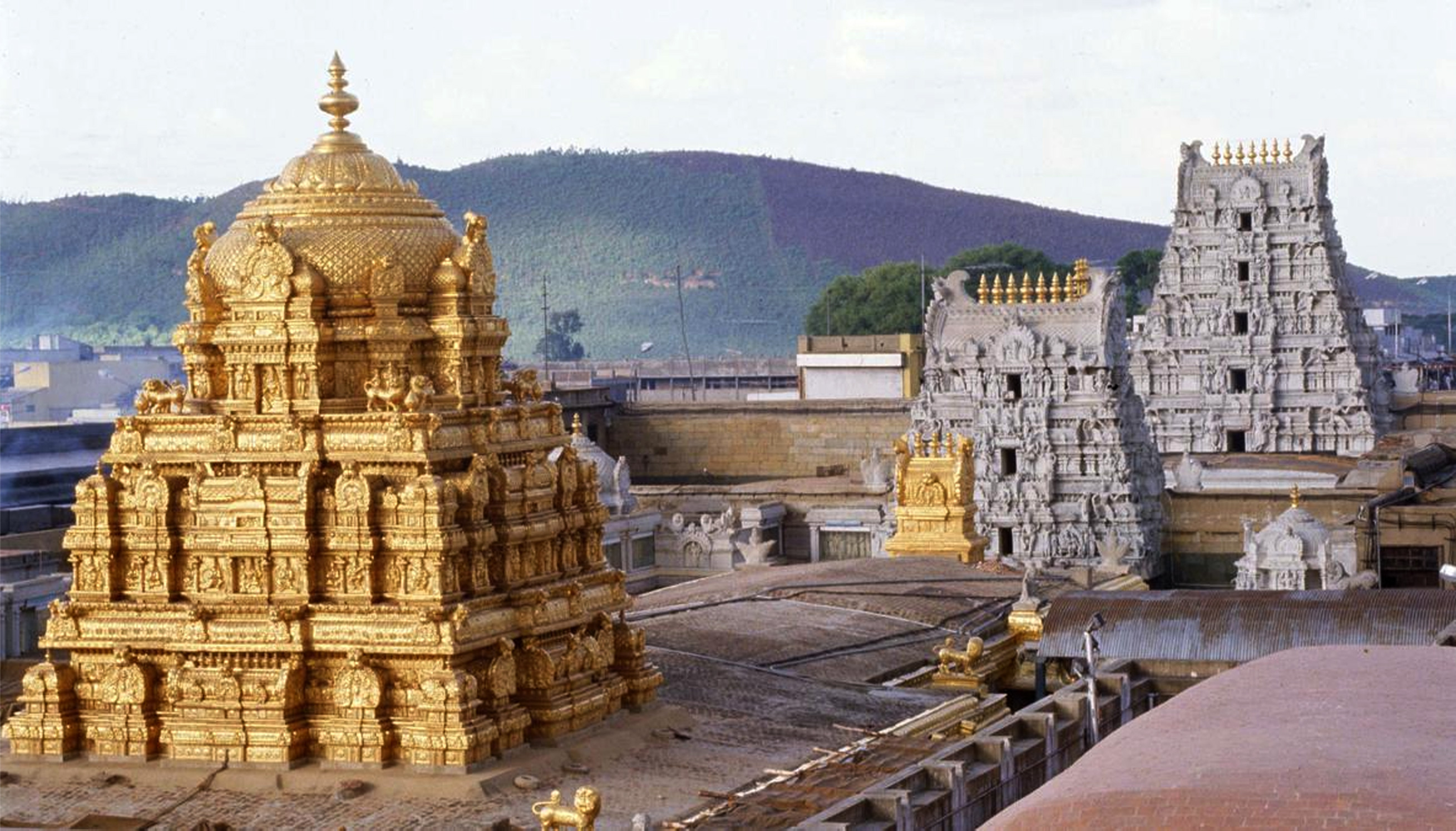 TIRUPATI AMMAWARI SUGAM DARSHAN