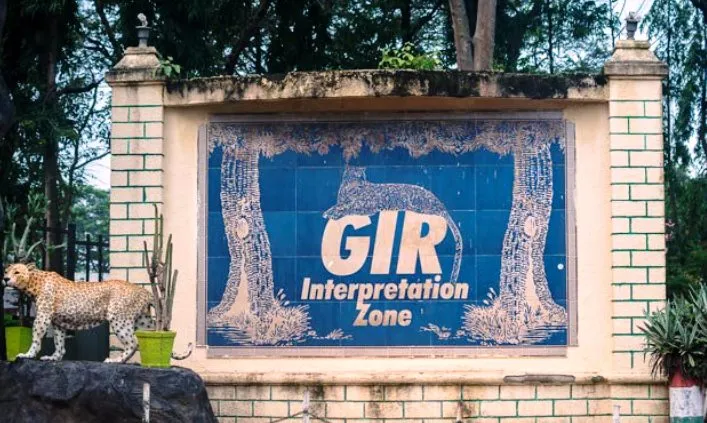 Highlights of Gujarat