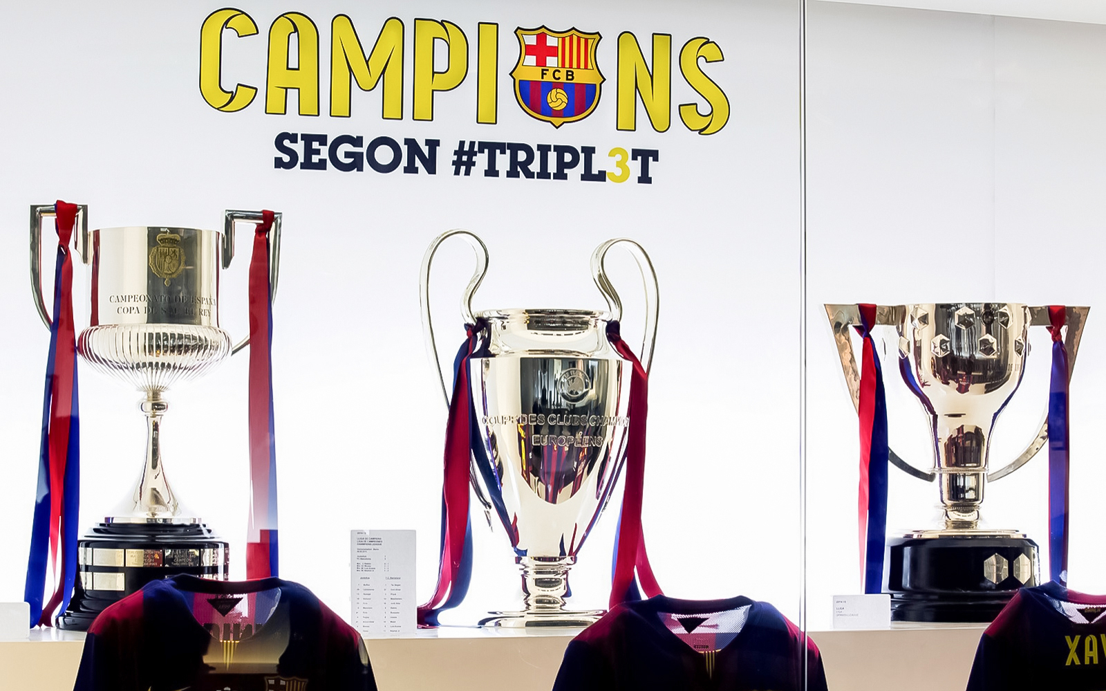 Image of Skip-the-Line Guided Tour of FC Barcelona Camp Nou
