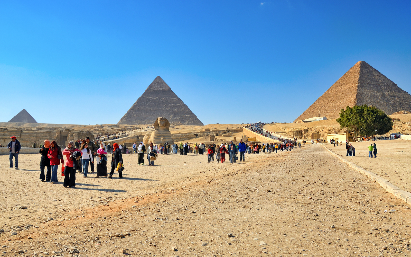 Image of Half Day Pyramids Tour by Camel or Horse Carriage