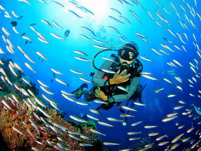 Image of Scuba Diving in Chennai