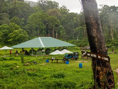 Image of Camping In Gonikoppal Coorg