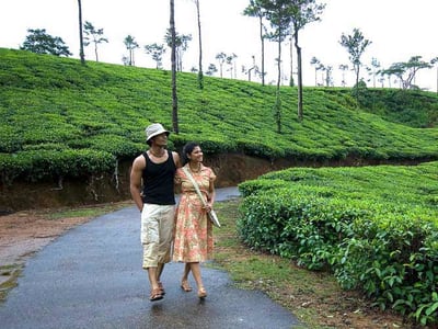 Image of Coorg Coffee Plantation Tour