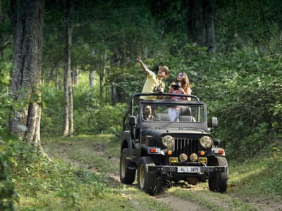 Image of Mandalpatti Jeep Safari
