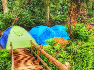 Image of Riverside Camping in Coorg