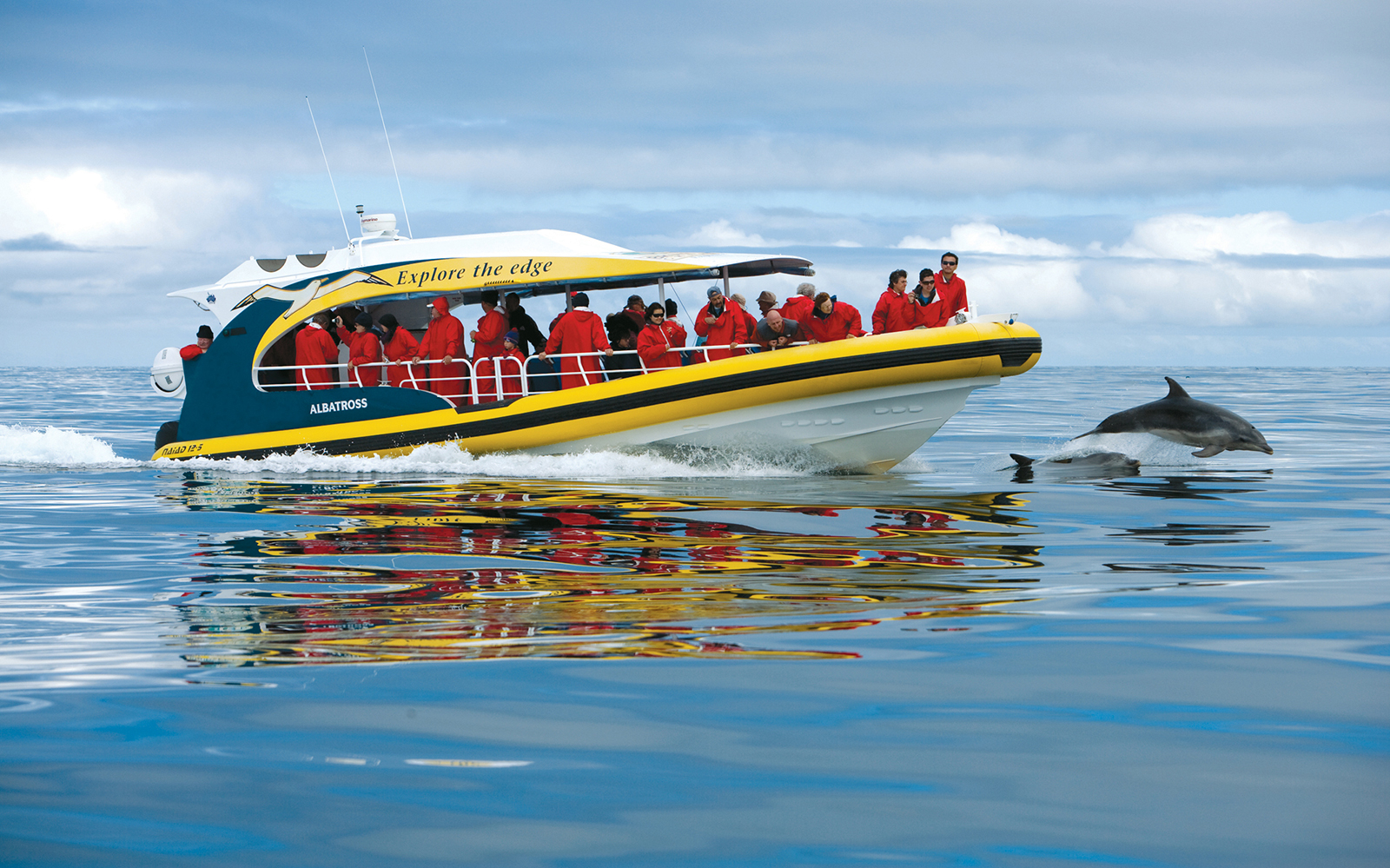 Image of Tasman Island Cruise: 3-Hour Wilderness Cruise