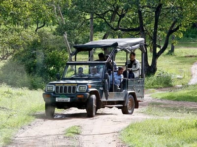 Image of Nagarhole Safari Coorg