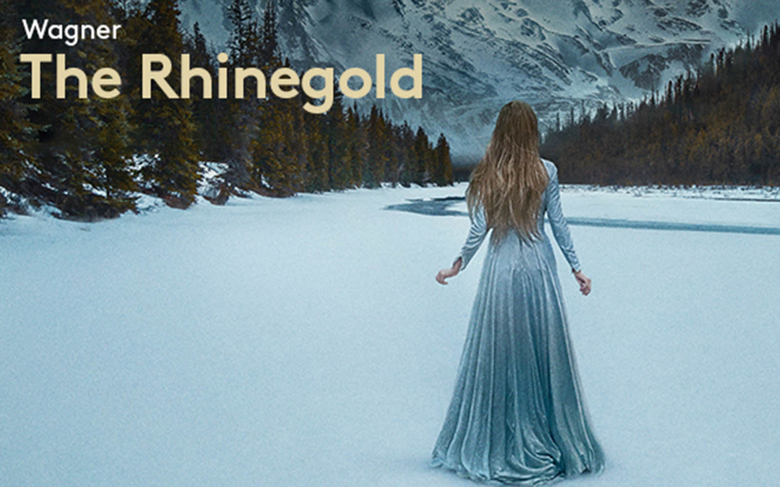 Image of The Rhinegold