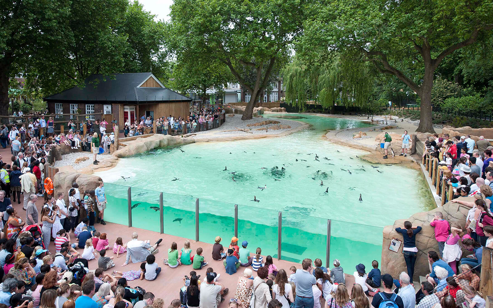 Image of Tickets to ZSL London Zoo