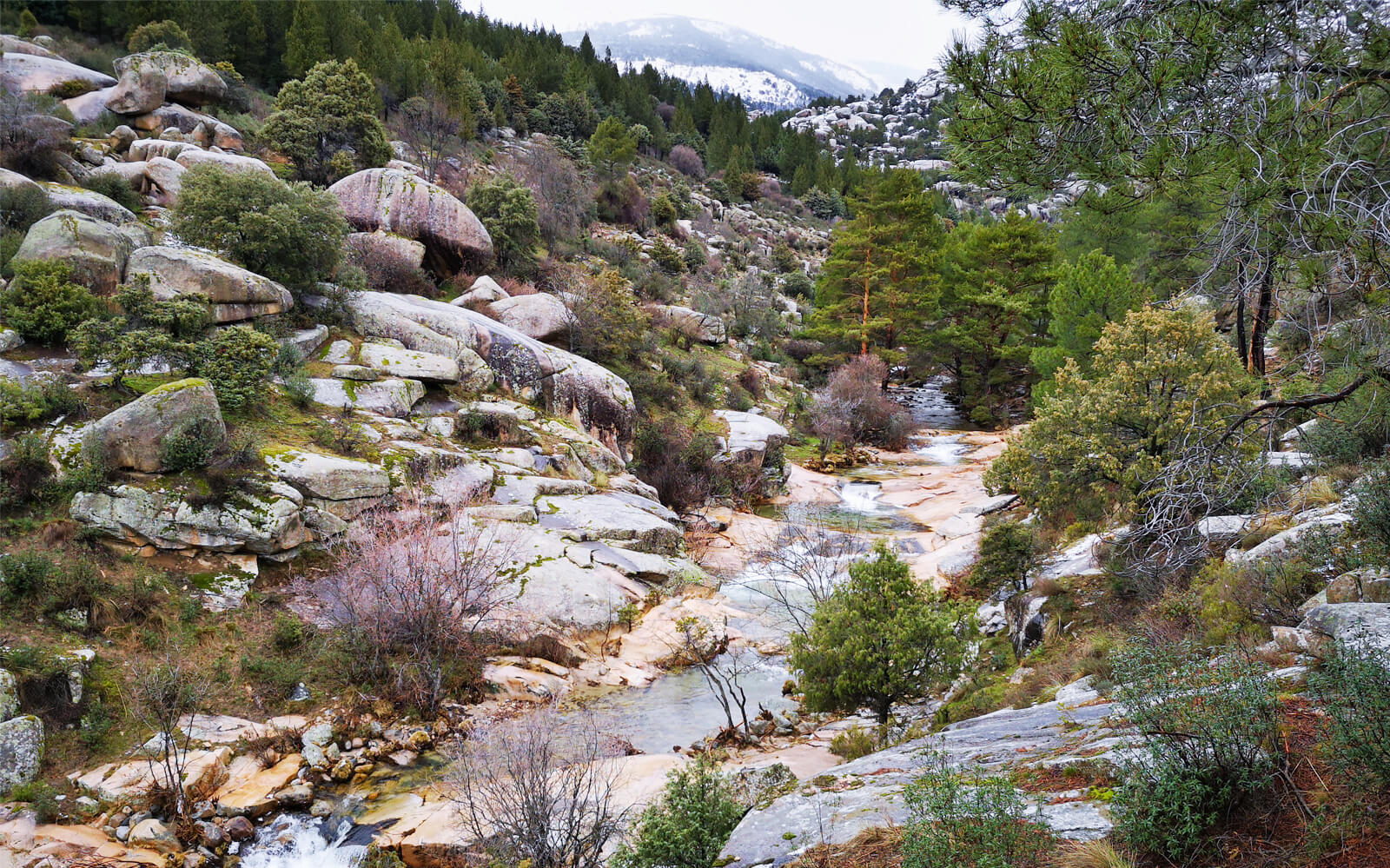 Image of Day Trip to Guadarrama National Park