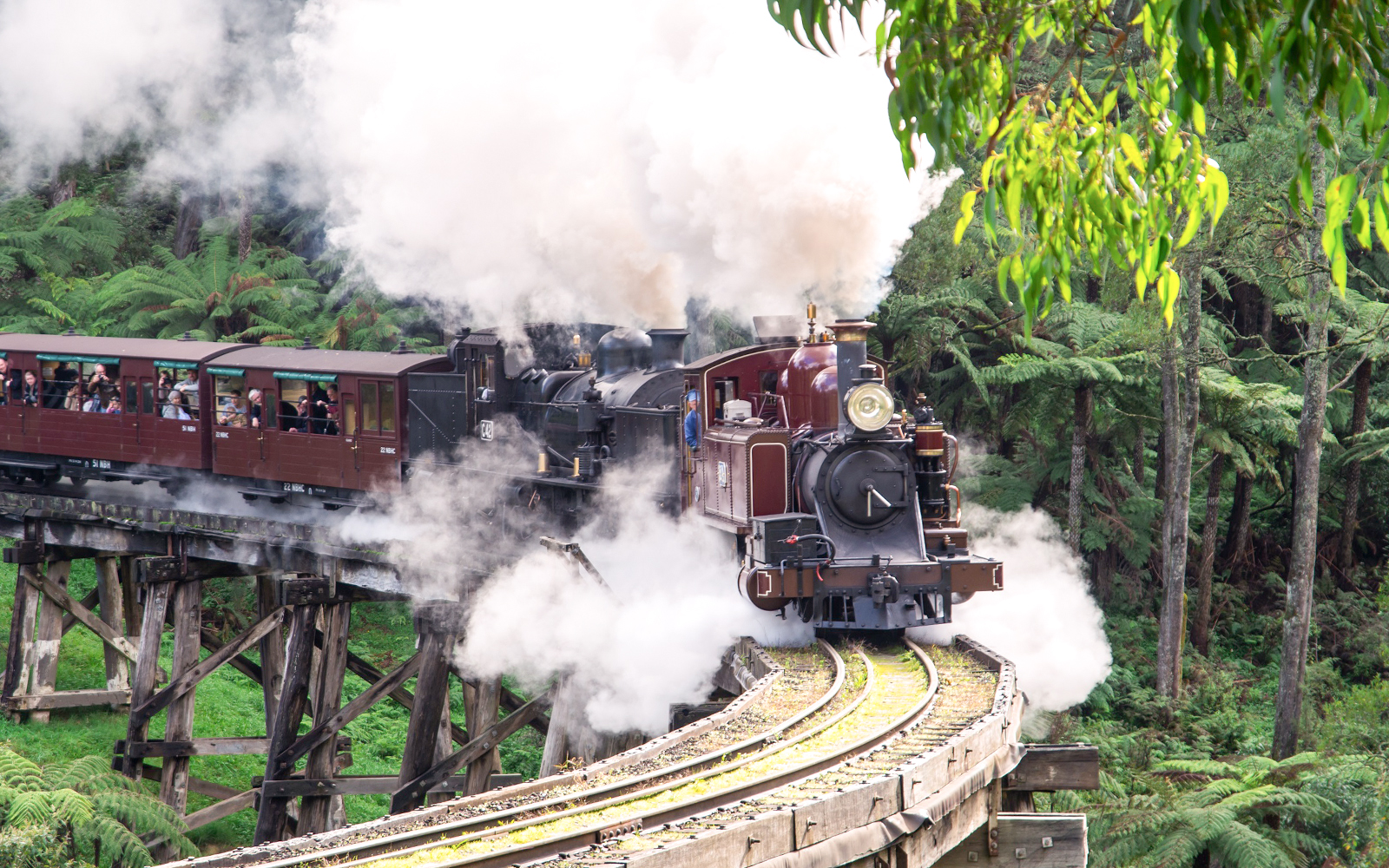 Image of Full-Day Tour of Puffing Billy & Healesville Sanctuary