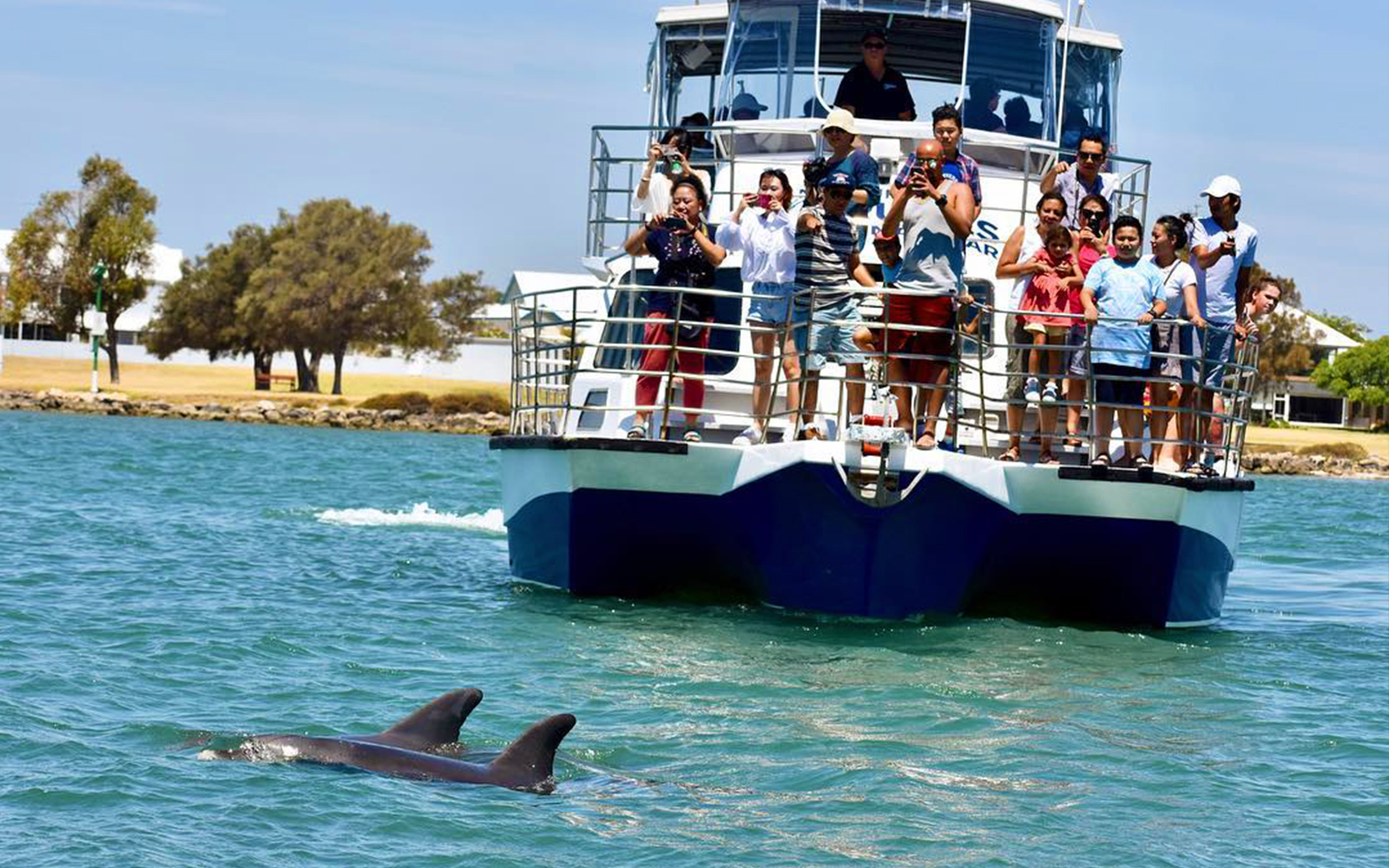 Image of Dolphin & Scenic Marine Cruise from Perth