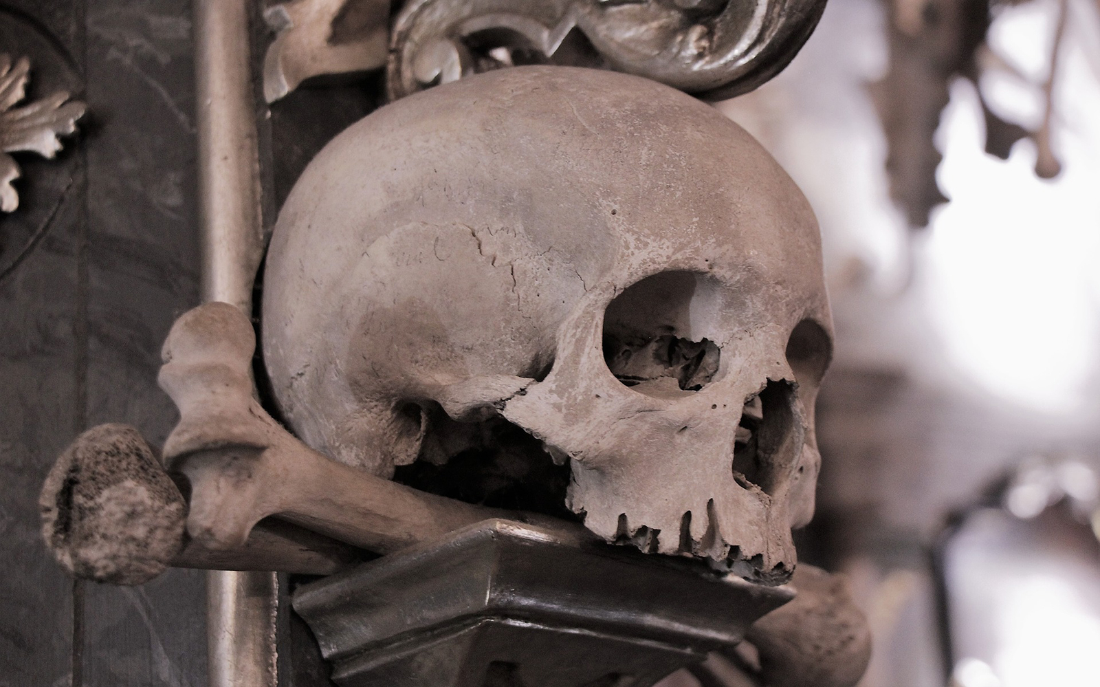 Image of From Prague: Silver Town Kutná Hora & Church of Bones Tour