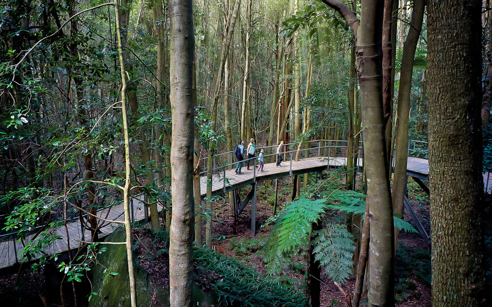 Image of Small Group Tour of Blue Mountains with Scenic World, Sydney Zoo, & Ferry Tour