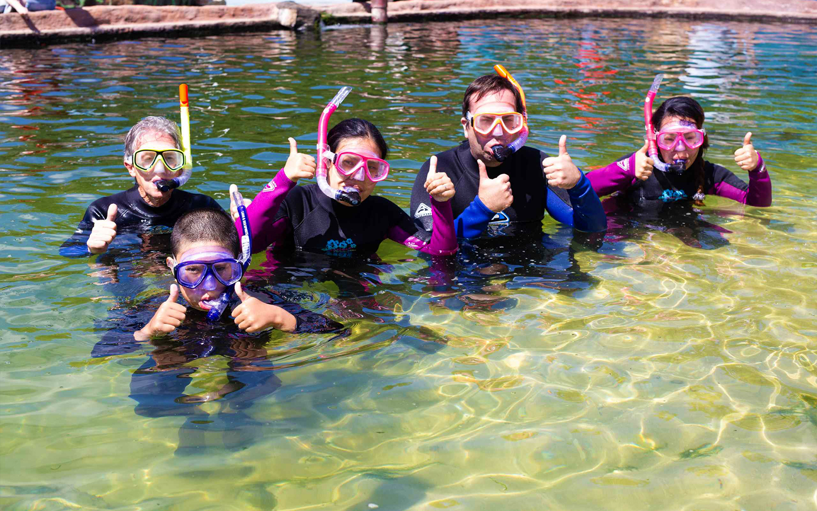 Image of Snorkel with Sharks & Rays Tickets
