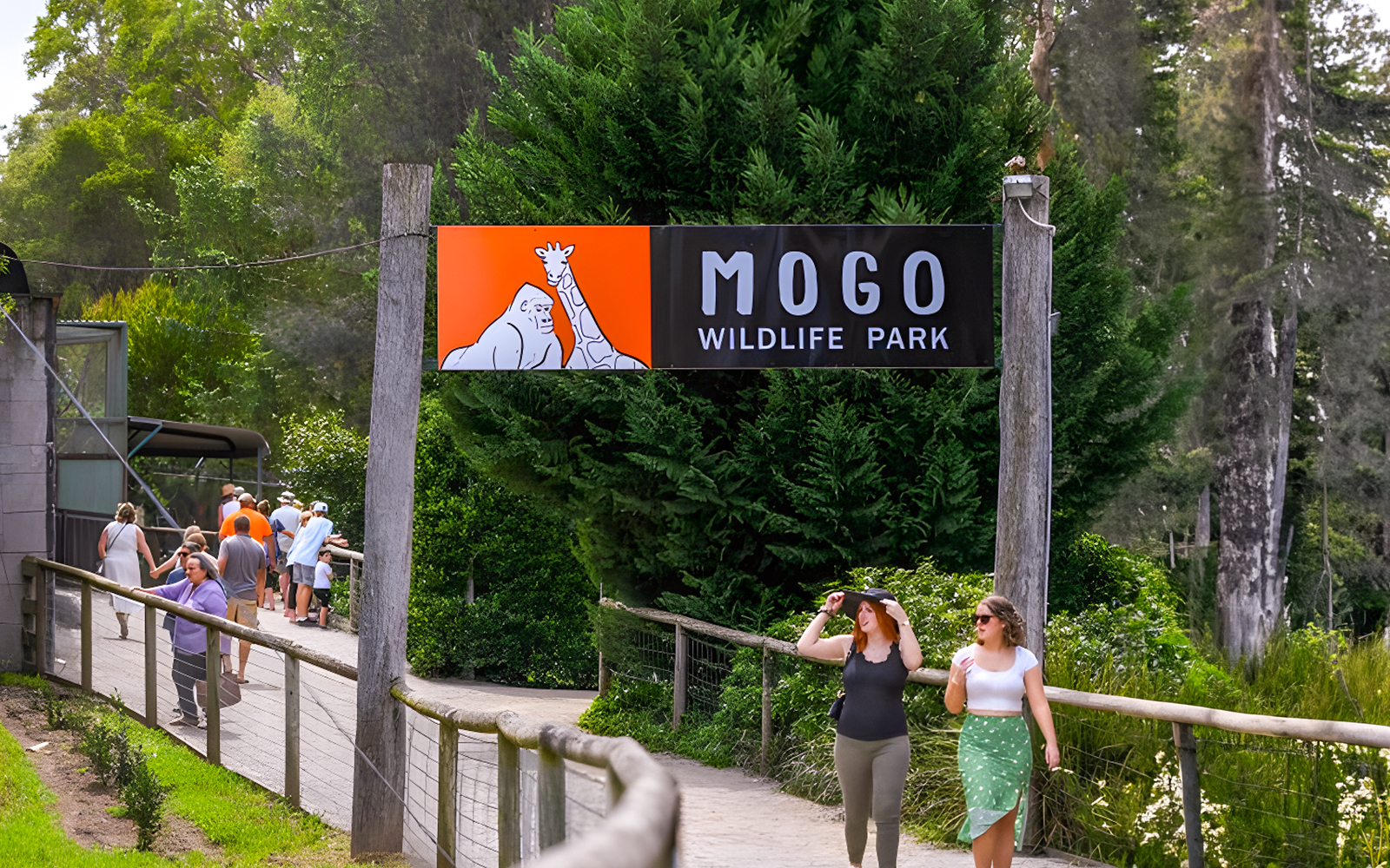 Image of Tickets to Mogo Wildlife Park