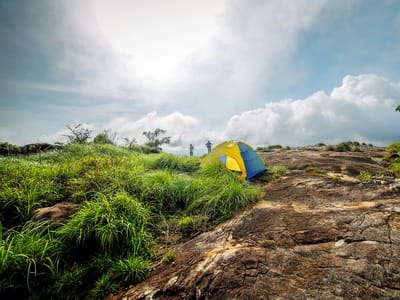 Image of Camping with Trekking and Jeep Ride at Wayanad