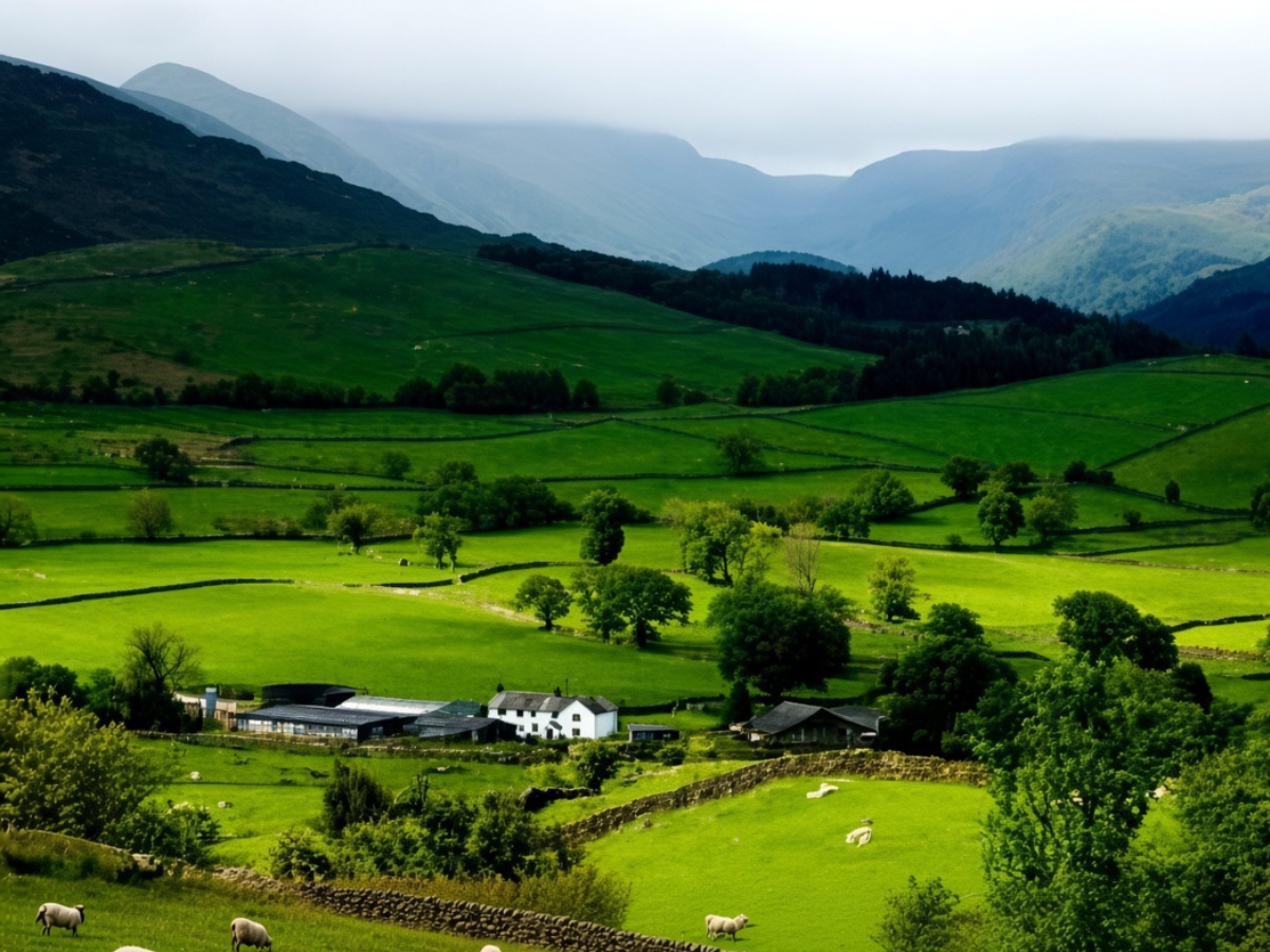 Ziro Valley