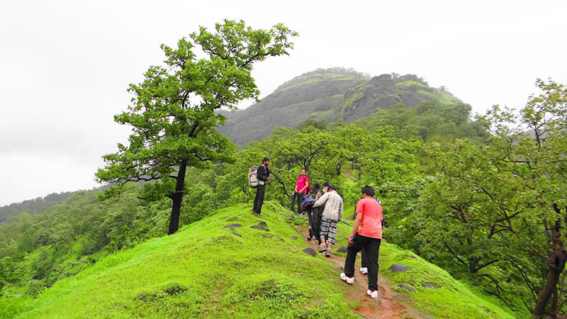 treks in pune city