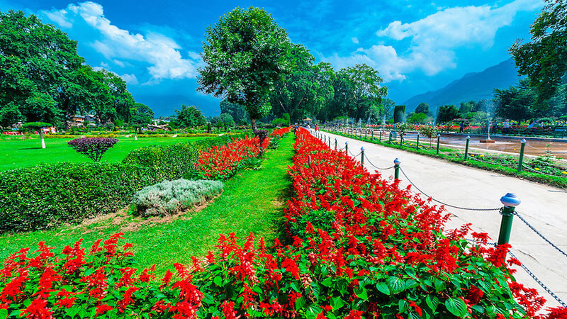 mughal gardens in kashmir