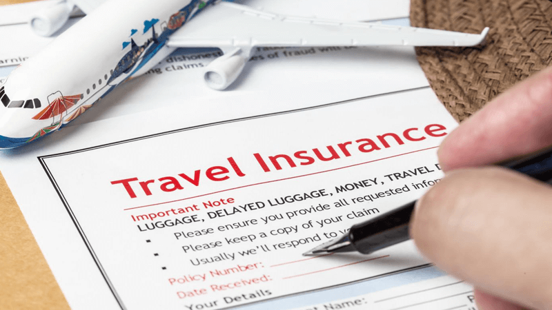 Explain the importance of travel insurance information