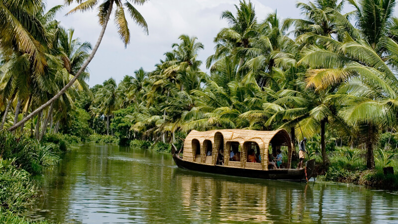 Top 8 Things To Do In Kerala 