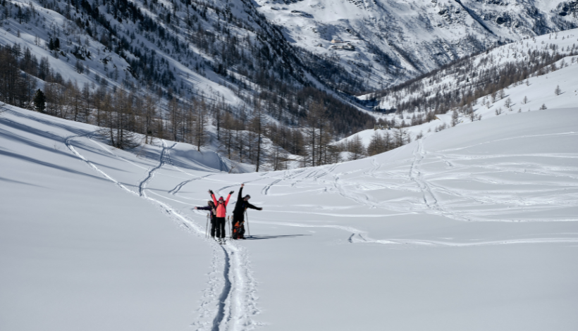 Winterfell The Stay - Manali