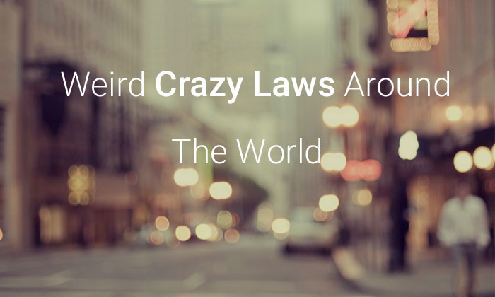 LAWS MORE FUNNY AND CRAZY WORLD 