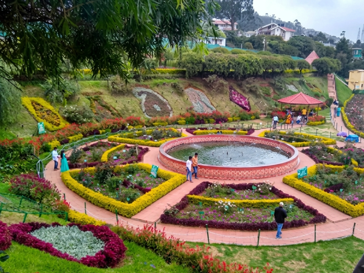 Goverment Rose Garden, Ooty