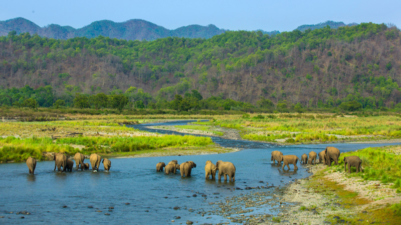 jim-corbett