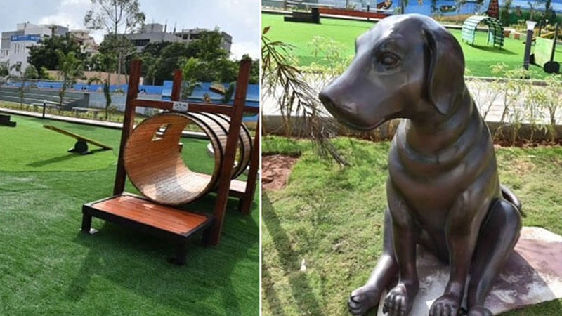 dog-park-india1