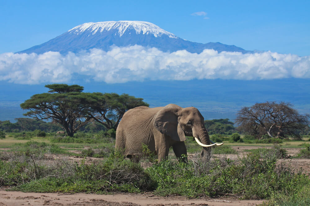 tanzania