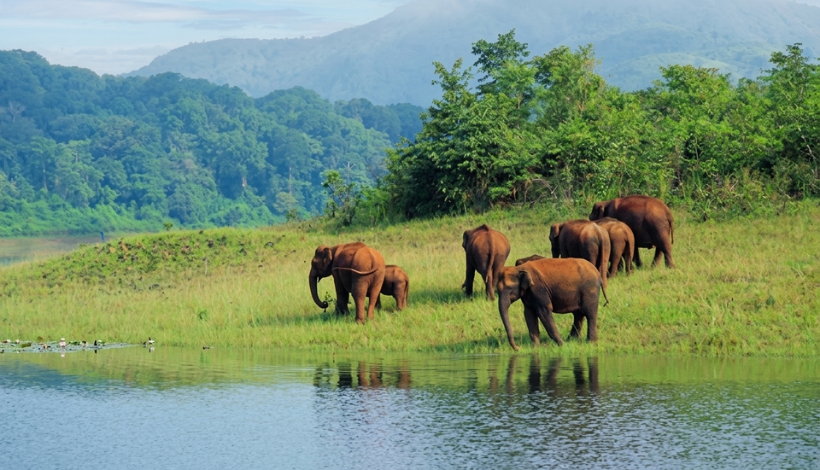 Valmiki National Park