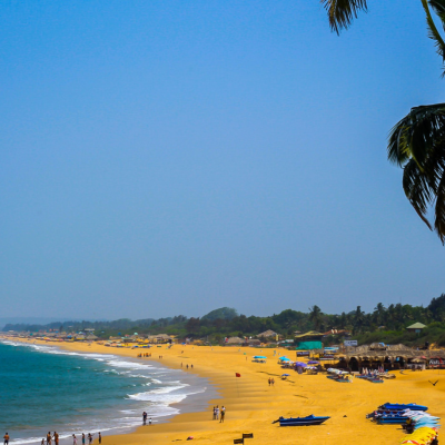 7 Reasons Why Goa is a Must-Visit in Winters