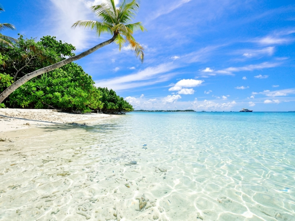 Goa
