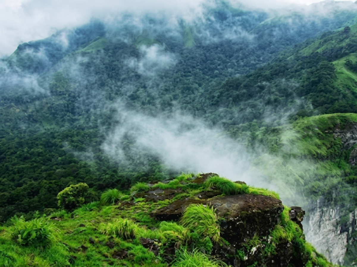 Coorg