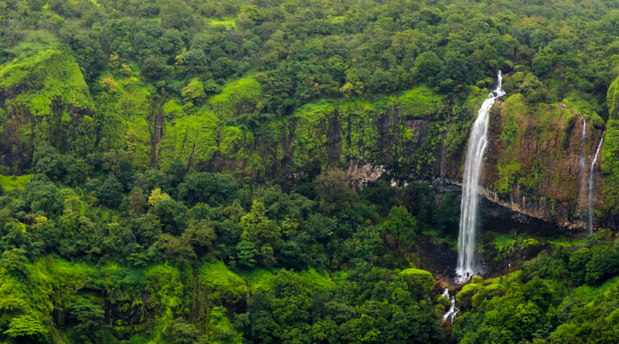 Amboli