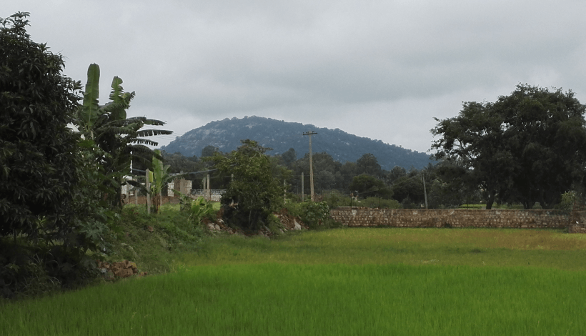 yelagiri-city