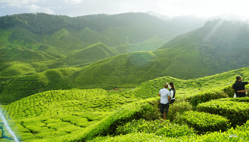 munnar