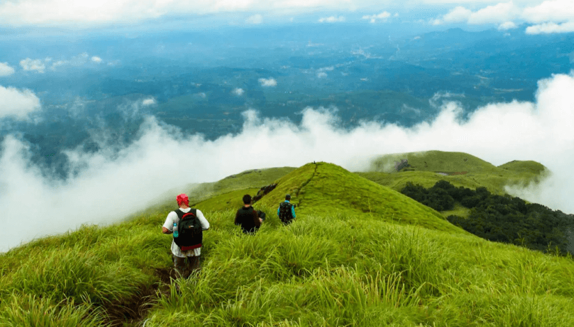 coorg