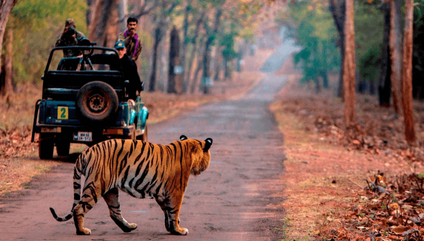 corbett