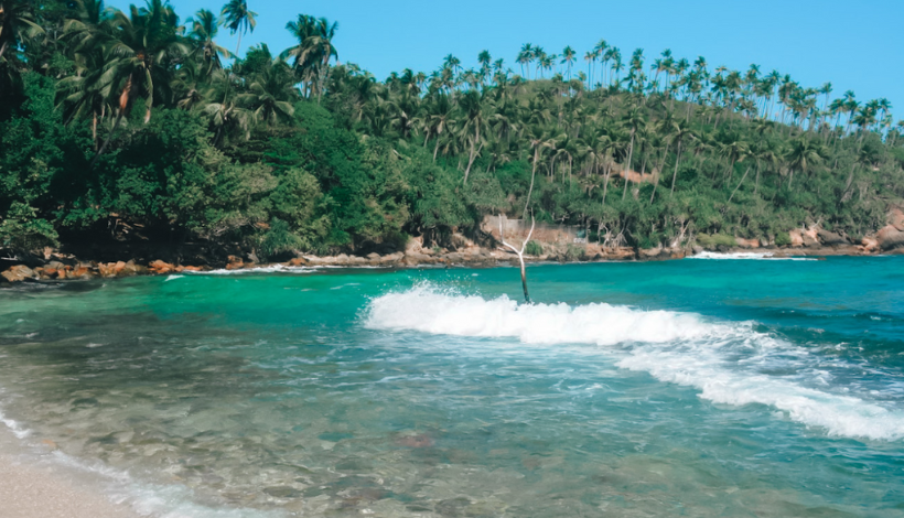 Surfing in Sri Lanka