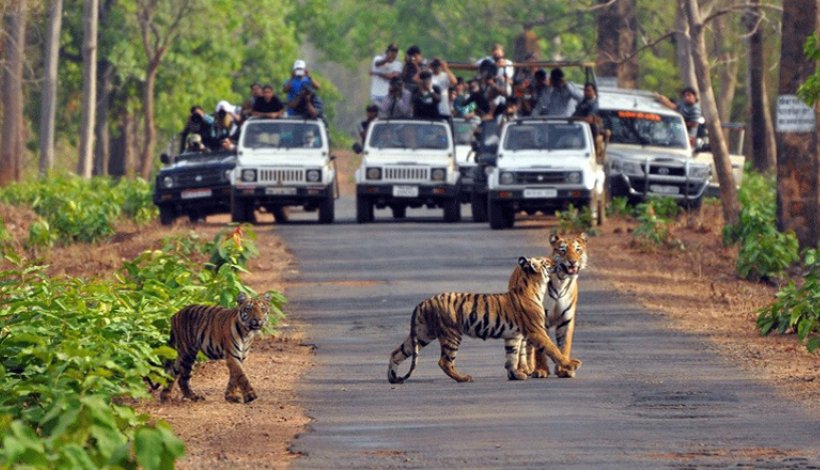 Jim Corbett national park