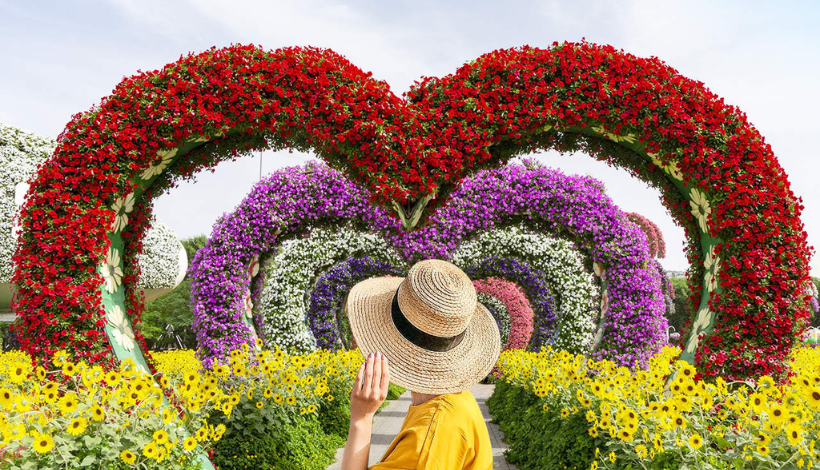 Miracle Garden