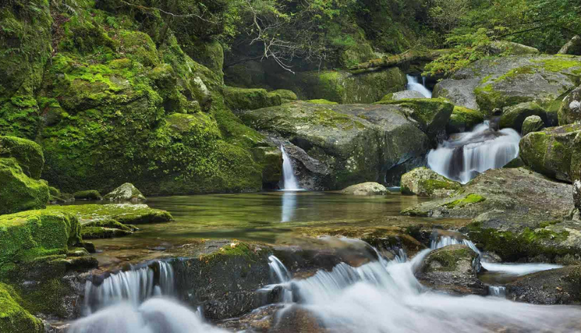 Yakushima Island, Japan
