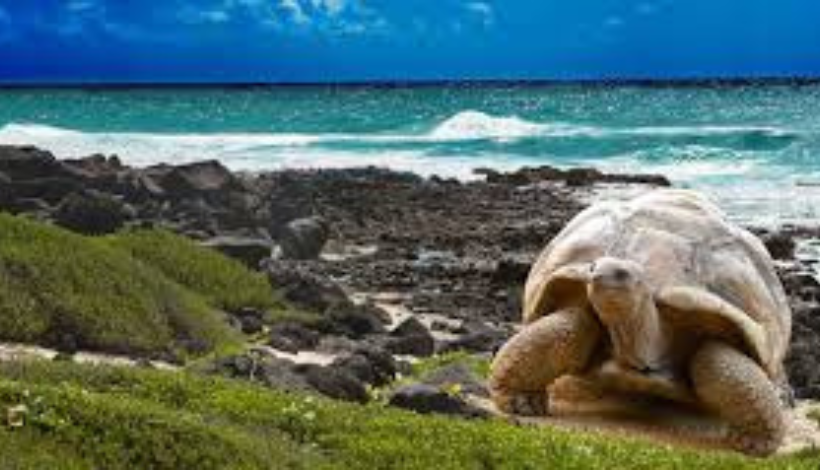 Galapagos National Park, Ecuador