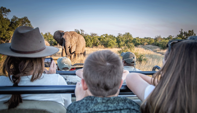 Kruger National Park, South Africa